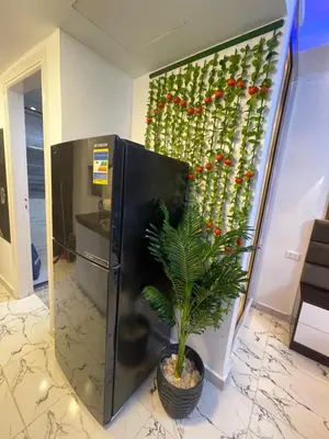 a plant in a pot next to a refrigerator at Oscar luxury N109Free WI-FI in Hurghada