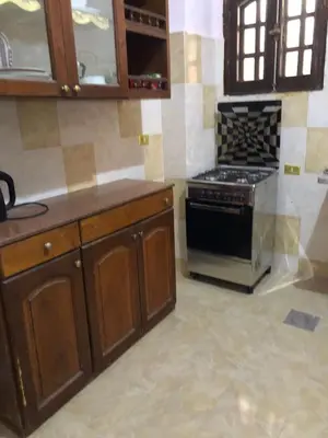 a kitchen with a stove and a counter top at Habu Garden Apartment in Luxor