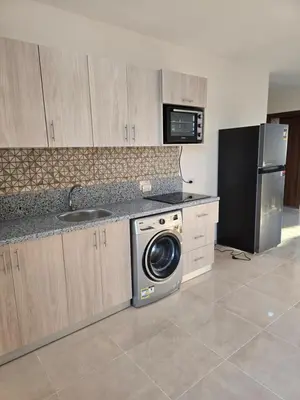a kitchen with a washing machine and a sink at Tiba Golden Down Town in Hurghada