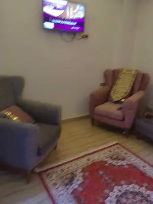 a living room with two couches and a tv at شقة فاخرة خلف الاستاد اسوان in Aswan