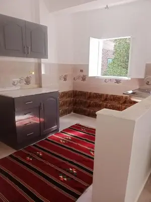 a kitchen with a red rug on the floor at elomda in Luxor