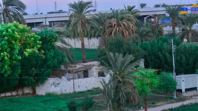 a house in the middle of a yard with palm trees at Jasmin house in ‘Ezbet Abu Ḥabashi