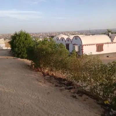 Nuba