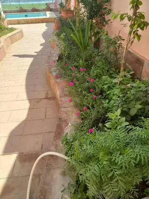 a garden with pink flowers next to a building at Nile House Anis & Do in Luxor