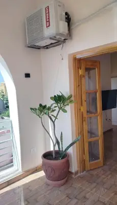 a plant in a pot in a room at Nile House Anis & Do in Luxor