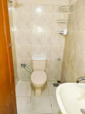 a small bathroom with a toilet and a sink at Sunset Mirage in Luxor