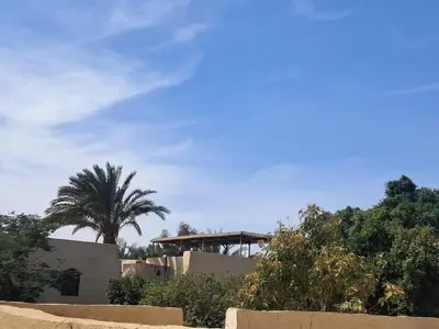 a palm tree and a building with a bridge in the background at Sunset Mirage in Luxor