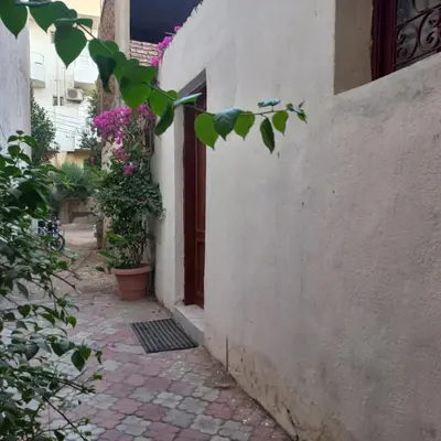 an alley with a door and flowers in a building at Remal City in Luxor