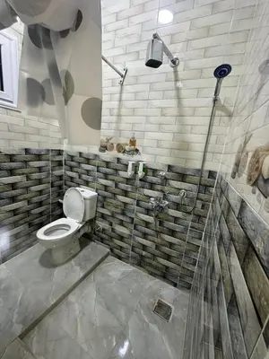 a bathroom with a toilet and a shower at TibaHouse in Luxor