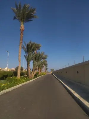 an empty road with palm trees on the side at Tiba Golden Resort apartment 167 in Hurghada