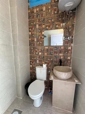 a bathroom with a toilet and a sink and a mirror at Palm Guest House in Aswan