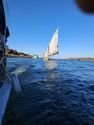 a boat with a white sail in the water at Hamdy's Felouque in Aswan