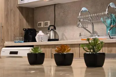 a kitchen with three potted plants on a counter at Mangroovy 1 br Ground Composure & Cool Hilton view in Hurghada