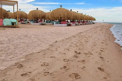 a beach with many chairs and straw umbrellas at Mangroovy 1 br Ground Composure & Cool Hilton view in Hurghada