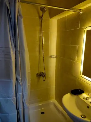 a bathroom with a shower and a sink at Aquarium Seaview accomodations in Hurghada