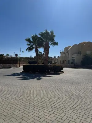 a courtyard with palm trees and some buildings at The getaway in Hurghada