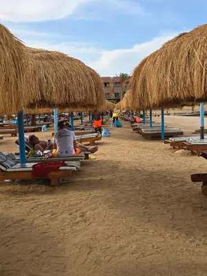 a row of beach chairs and straw umbrellas on a beach at Taiba Golden Central Hurghada in Hurghada