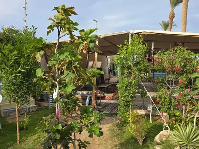 a house with trees in front of it at Taiba Golden Central Hurghada in Hurghada