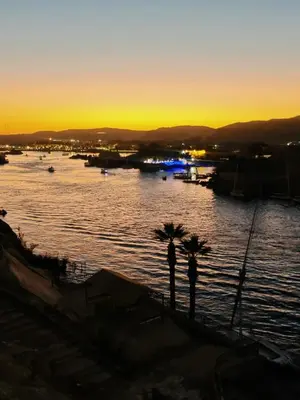 a view of a river with palm trees in the sunset at Nile Moon in Jazīrat Aswān