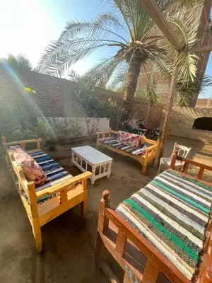 a patio with two beds and a palm tree at Tokyo House Luxor in Luxor