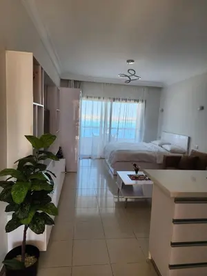 a room with a bed and a plant in it at Studio for rent in the view 607 in Hurghada