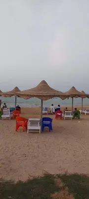 a group of chairs and umbrellas on a beach at Casablanca Beach for families only in Hurghada