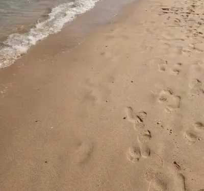 a group of footprints in the sand on the beach at Villa with private pool A F in Hurghada