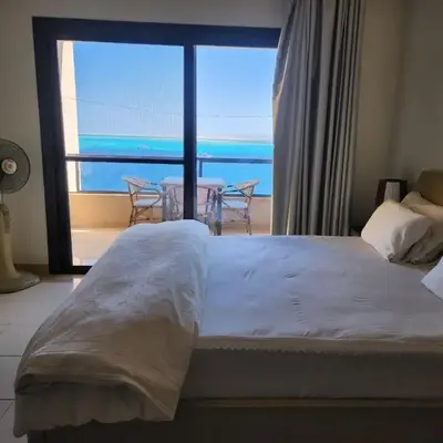 Studio for rent in the view 409