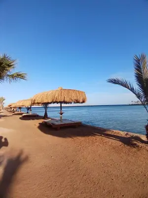 a beach with a straw umbrella and palm trees at Golden tiba resort in Hurghada