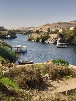 three boats are docked on a river in the desert at habby home in Aswan