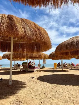 a group of straw umbrellas on a beach at Beachfront Bliss - Your Hurghada Escape Awaits in Hurghada