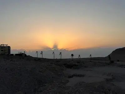 a group of palm trees in the desert at sunset at Apartment with a Red Sea view in Hurghada