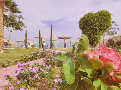 a garden with pink flowers and trees and a beach at Oceanfront Apartment with Sea View - Hurghada - 2 bedrooms 2 bathrooms in Hurghada