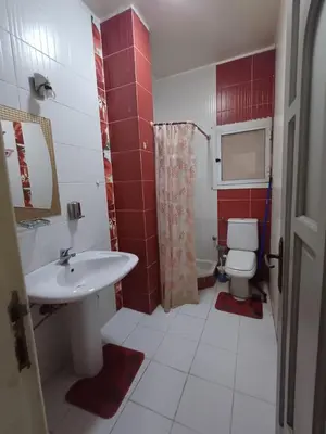 a bathroom with a white sink and a toilet at Ahmeds in Luxor