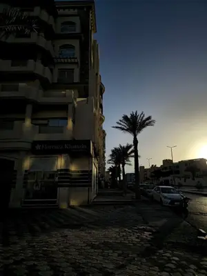 a building on a city street with a palm tree at Florenza Khamsin Lux Apartment in Hurghada