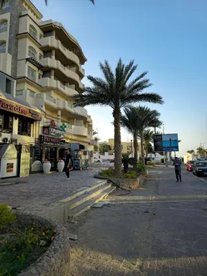 a city street with palm trees and a building at Florenza Khamsin Lux Apartment in Hurghada
