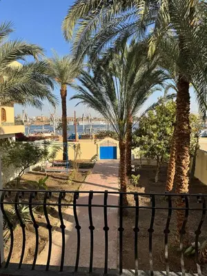 a black fence with palm trees in the background at Sahara palace in Luxor