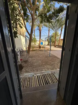 an open door leading to a park with palm trees at Sahara palace in Luxor