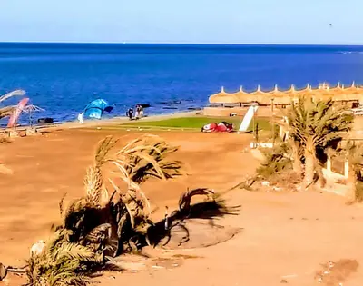 a beach with some palm trees and the ocean at Al-Kiam Villa Private pool A F in Hurghada