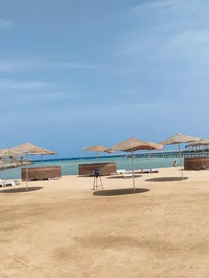 a group of straw umbrellas on a beach at Scandic Resort in Hurghada
