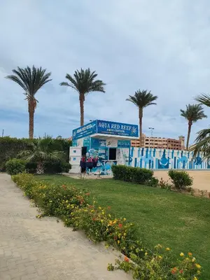 a building with palm trees and flowers in a park at Scandic Resort in Hurghada