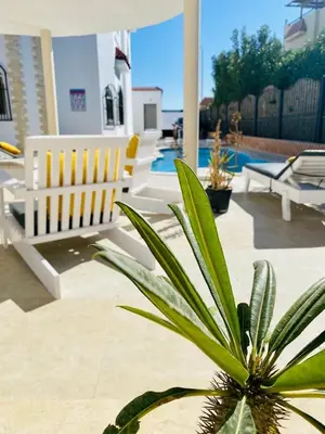 a potted plant sitting on a patio with a bench at Magawish Hurghada Studio 7 in Hurghada