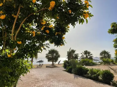 a view of the beach from the resort at Doplex for rent in the view 18 in Hurghada
