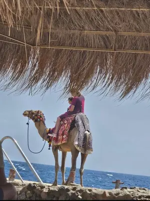 two people riding a camel on the beach at Tiba Gold in Hurghada