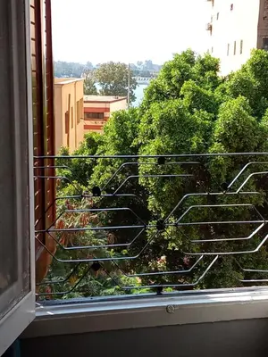 a window with a view of a tree at شقه الزناتى مطله على النيل in Luxor