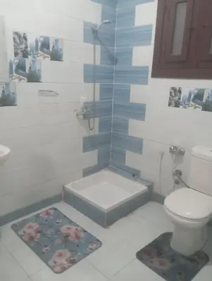 a bathroom with a shower with a toilet and a shower at شقه الزناتى مطله على النيل in Luxor