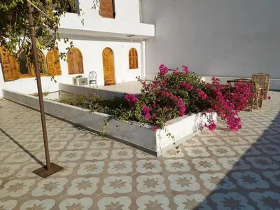 a courtyard with pink flowers in a concrete planter at Gabawy Garden in ‘Ezbet Abu Ḥabashi