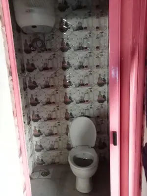 a bathroom with a toilet and a wall with shoes at Nubia House Nile View in Nag` el-Ramla