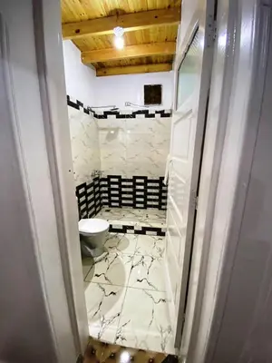 a bathroom with a toilet in a room at Ammar Guest House in Luxor