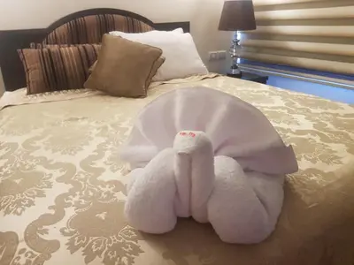 a stuffed towel animal laying on a bed at Saphir Dahabiya luxury sailing boat Nile cruise Every Saturday from Luxor 4 or 7 nights in Luxor